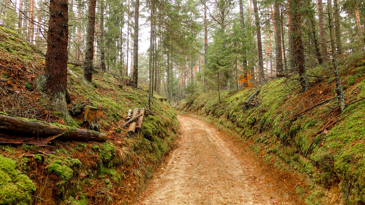 Najpiękniejsze polskie drogi - zdjęcie 19