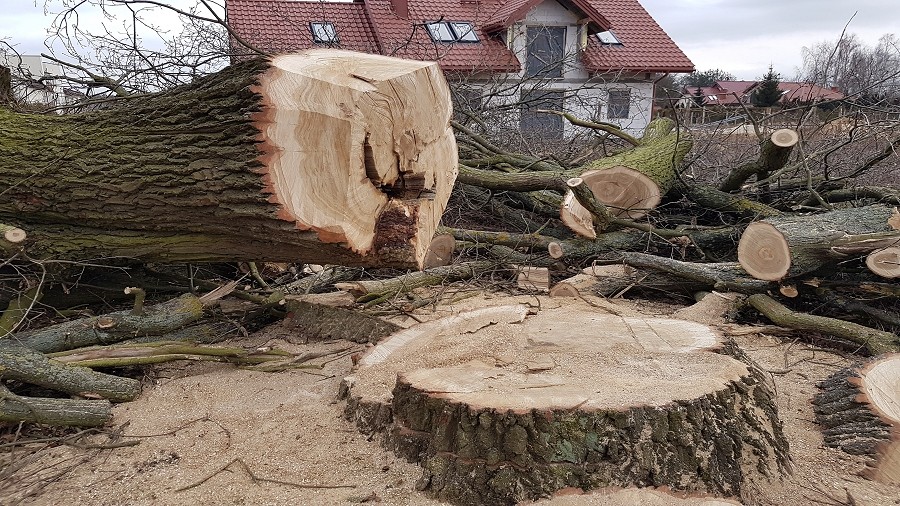 Fot. Piotr Szabelewski / TwojaPogoda.pl