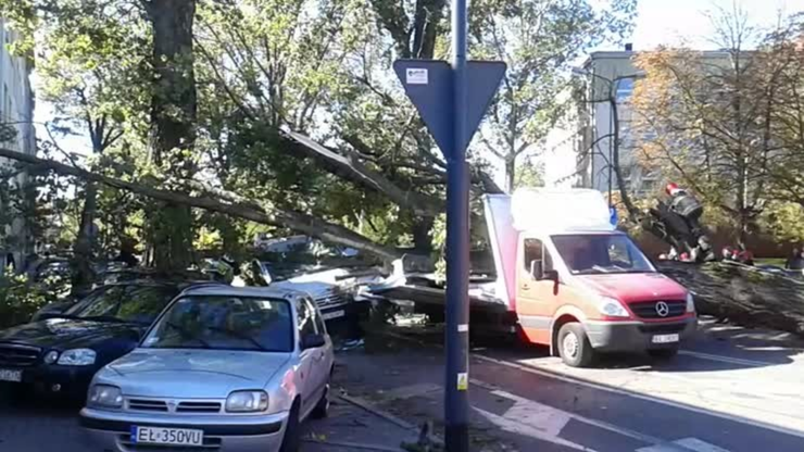 Łódź: wiatr powalił drzewo na jadące samochody