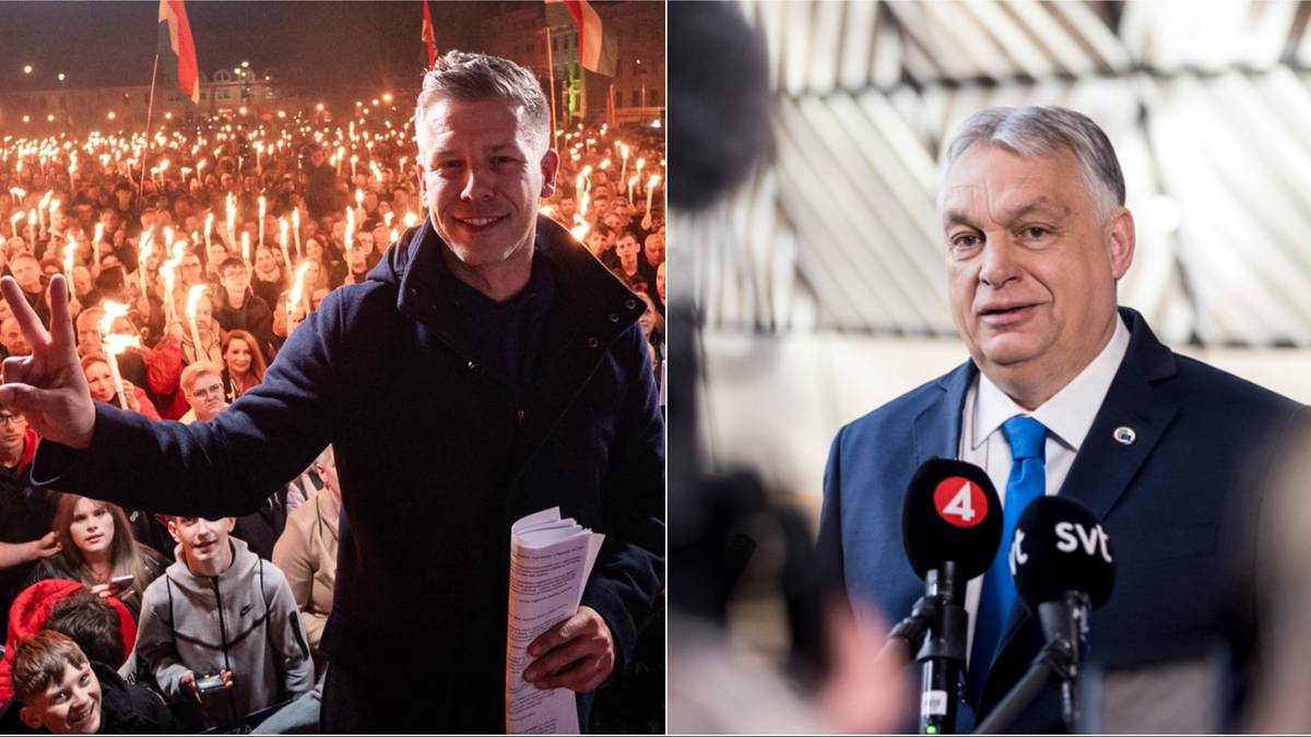 Fragmenty zdjęć przedstawiające polityk&oacute;w: po lewej Peter Magyar na tle tłumu z pochodniami, po prawej Viktor Orban przemawiający do mikrofon&oacute;w.