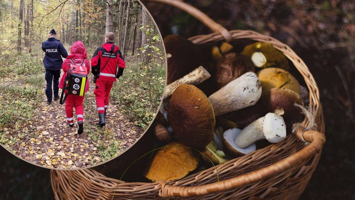 Tragedia podczas grzybobrania w przysuskim lesie. Nie żyje 83-latek