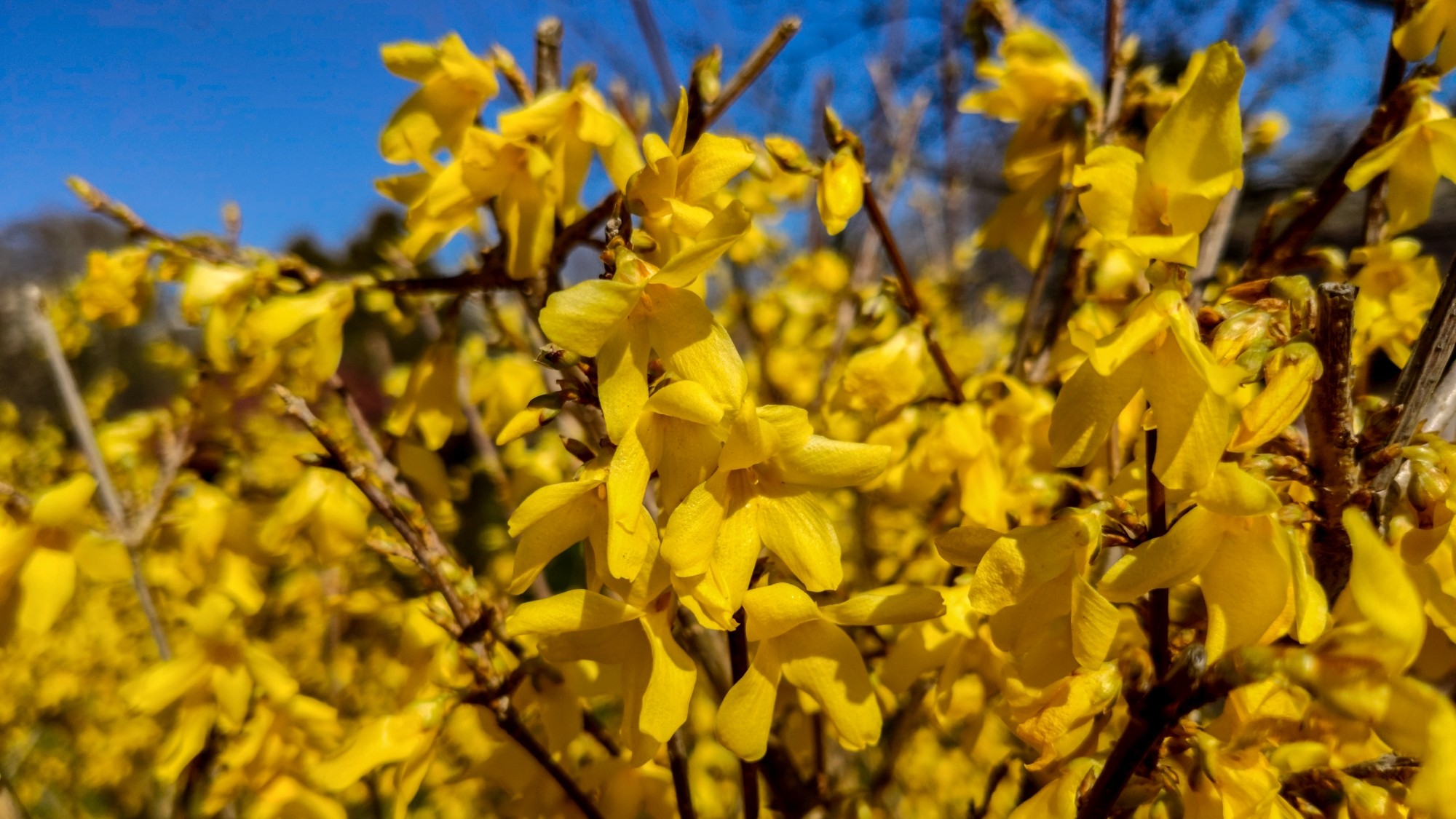 Wiosenna pobudka - zdjęcie 21