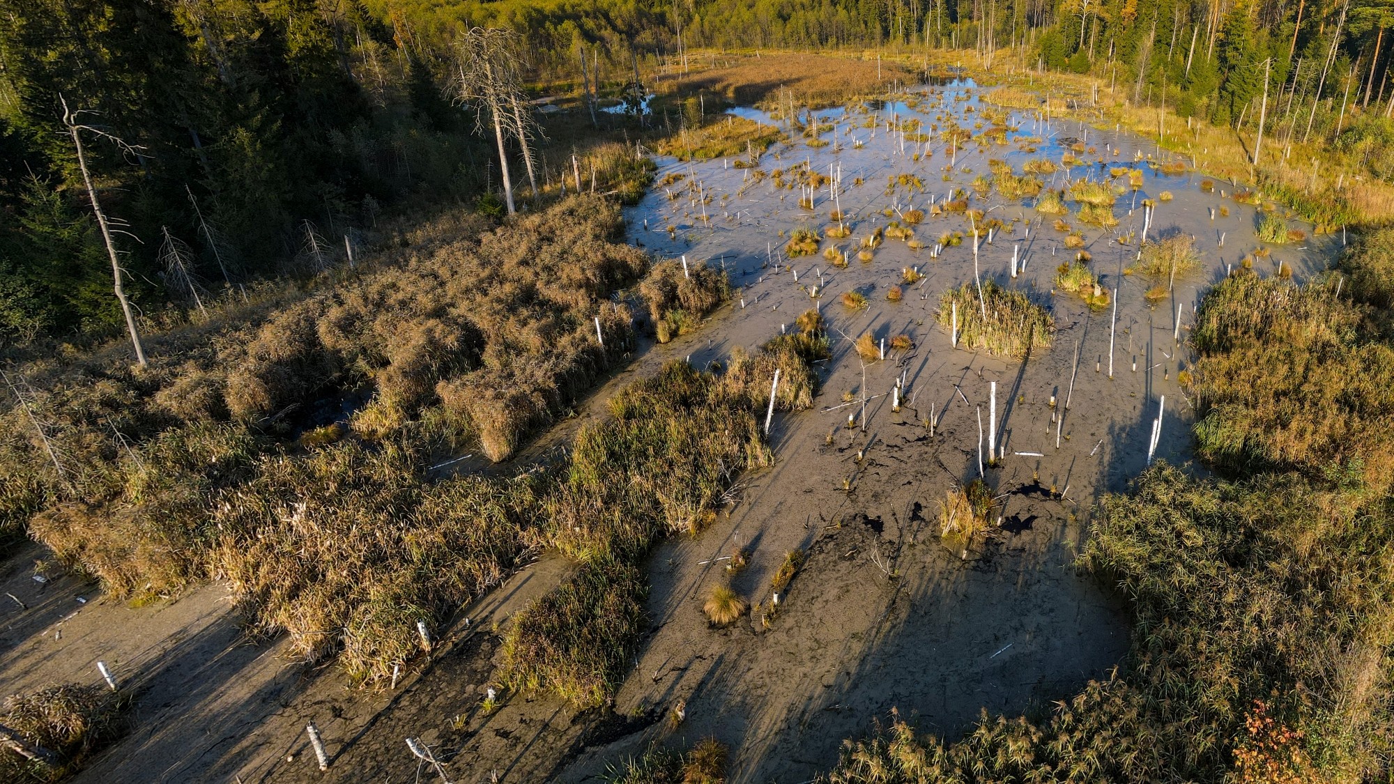 Cuda polskiej natury - zdjęcie 57