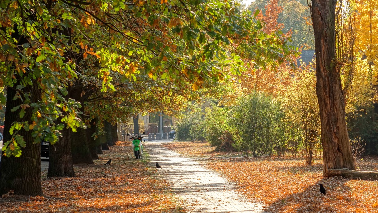 Jesienne klimaty - zdjęcie 25