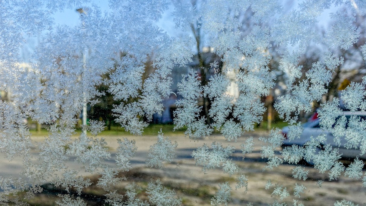 Styczeń w obiektywie - zdjęcie 48