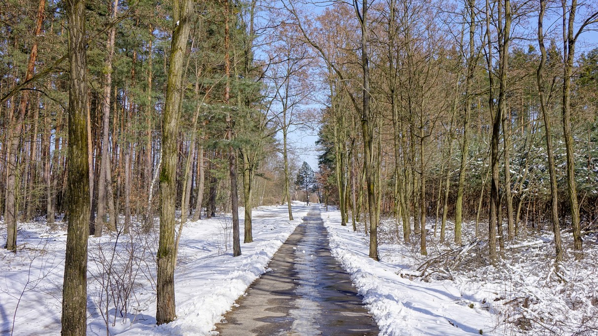 Marzec w obiektywie - zdjęcie 13