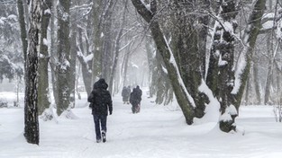 14.11.2019 07:00 Lodowaty podmuch z Syberii zmierza w naszym kierunku. 19 listopada będzie decydującym dniem