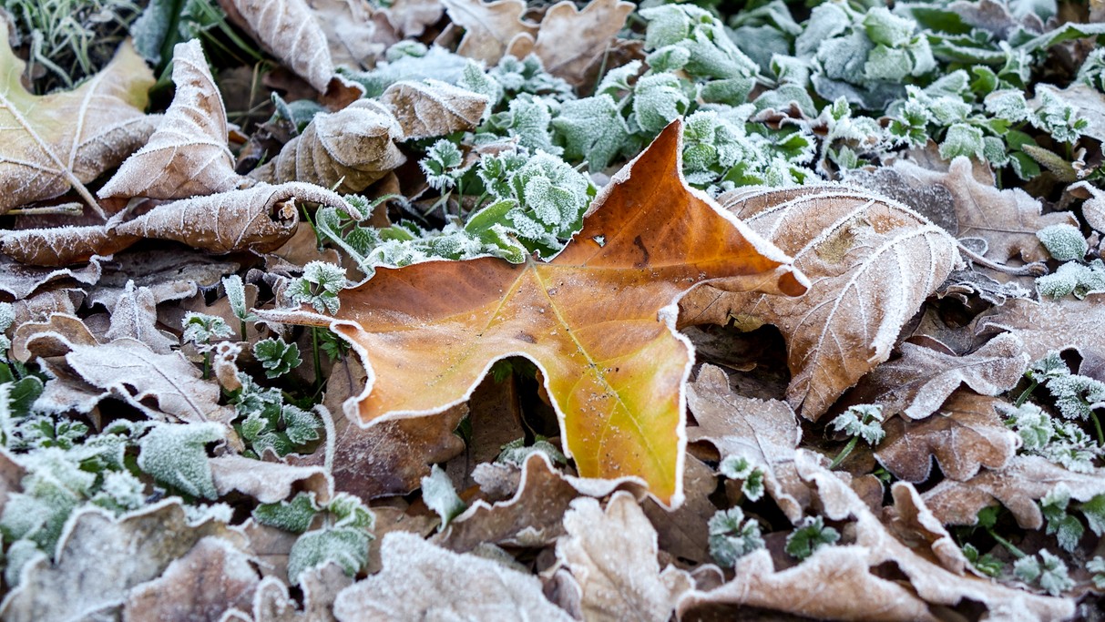 Polskie krajobrazy w 2018 roku - zdjęcie 9