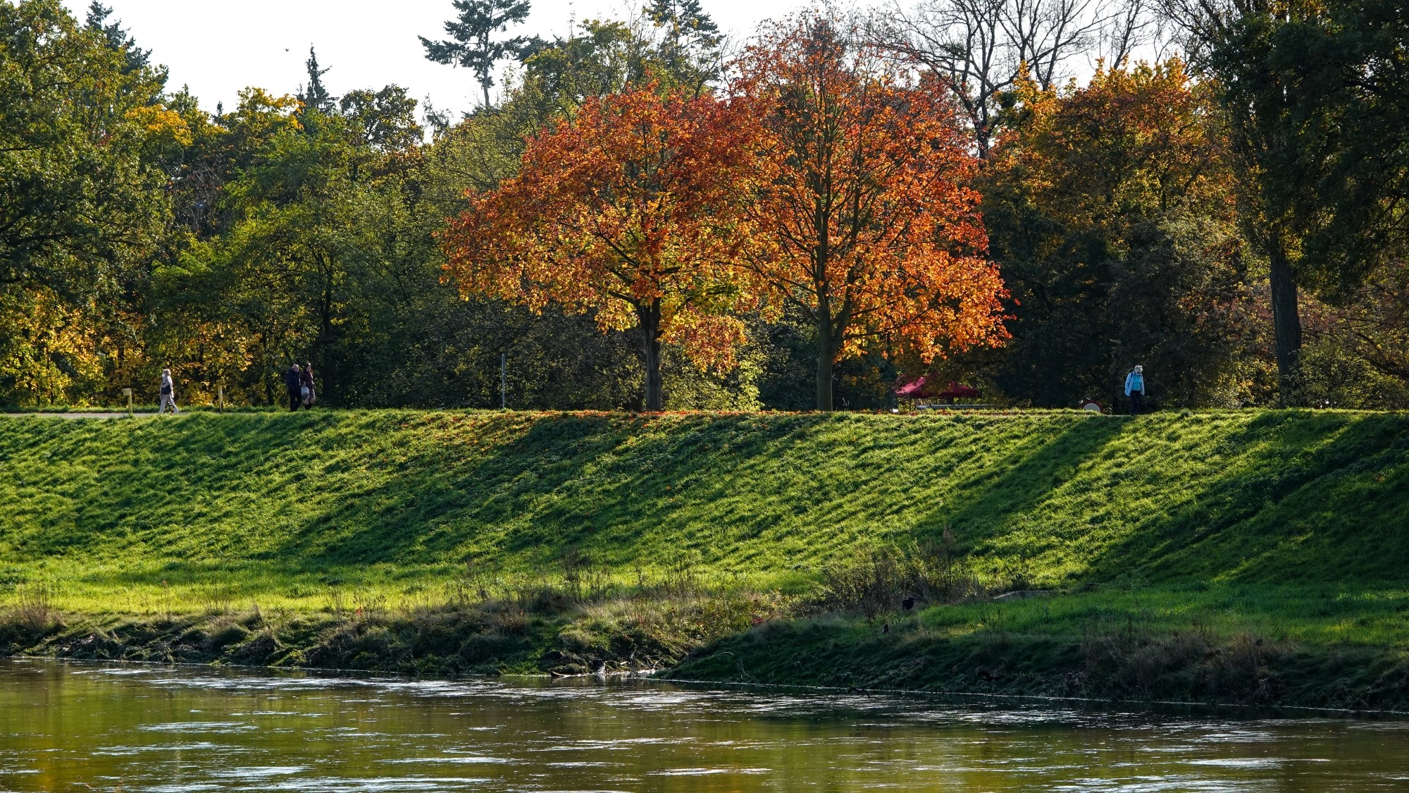 Wszystkie barwy jesieni - zdjęcie 45