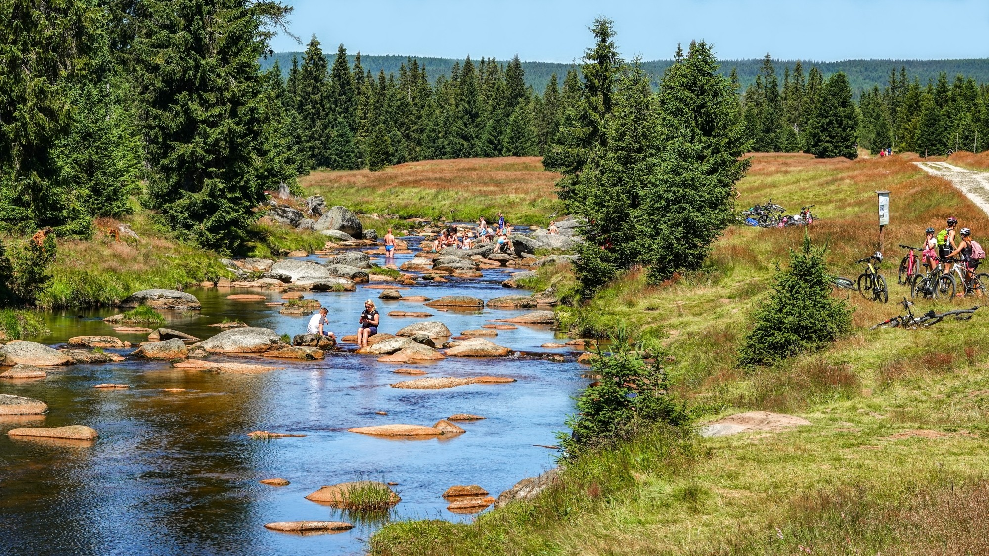 100 najpiękniejszych zdjęć 2020 roku - zdjęcie 17
