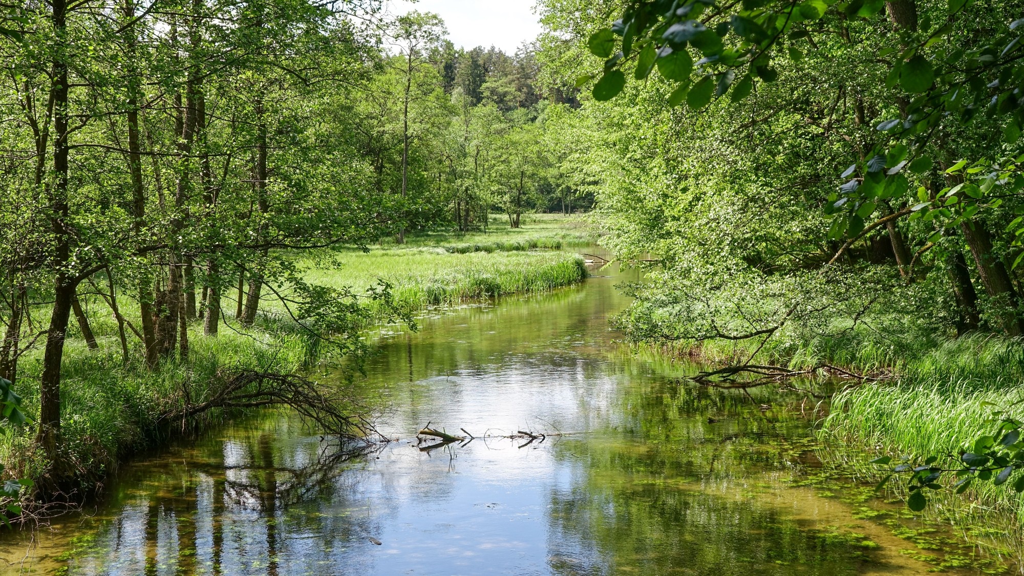 Mazury wiosną - zdjęcie 51