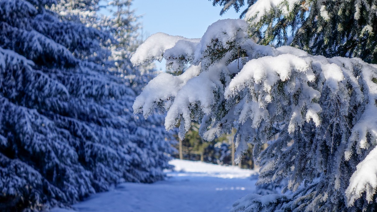 Zima w górach - zdjęcie 12