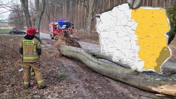 Wichury nie odpuszczą. Niebezpiecznie w najbliższych godzinach, alerty dla połowy kraju