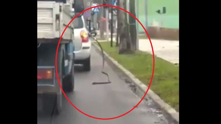 Włocławek: jeździła po mieście z wężem od dystrybutora paliwa
