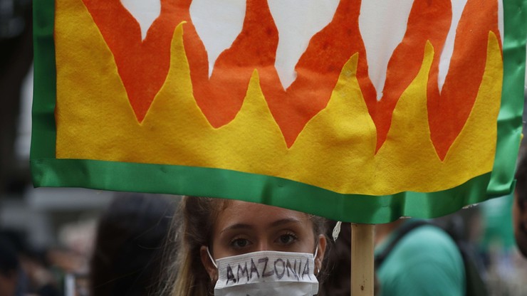 Ponad 131 tys. pożarów lasów w Brazylii. Prezydent nie jedzie na szczyt klimatyczny
