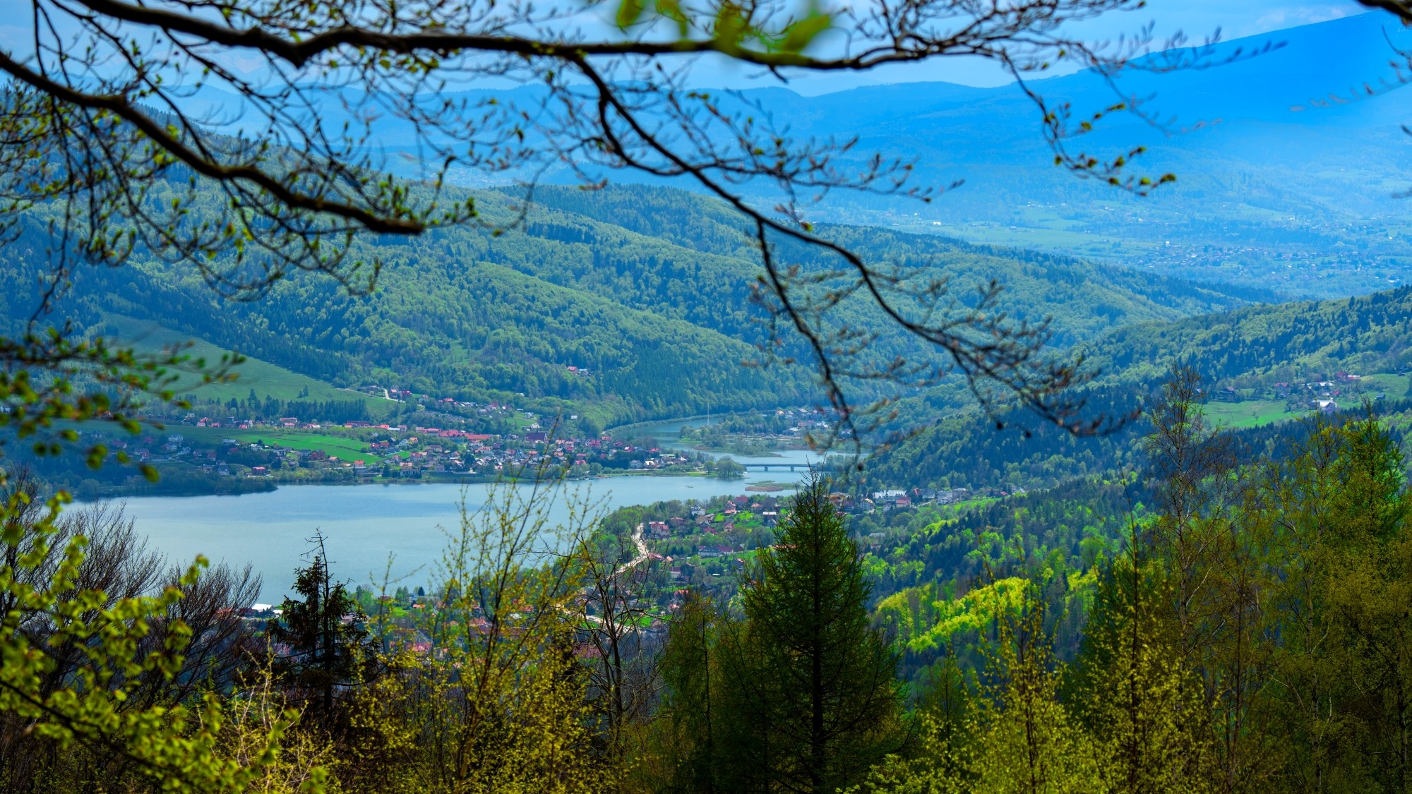 Zachwycający maj - zdjęcie 6