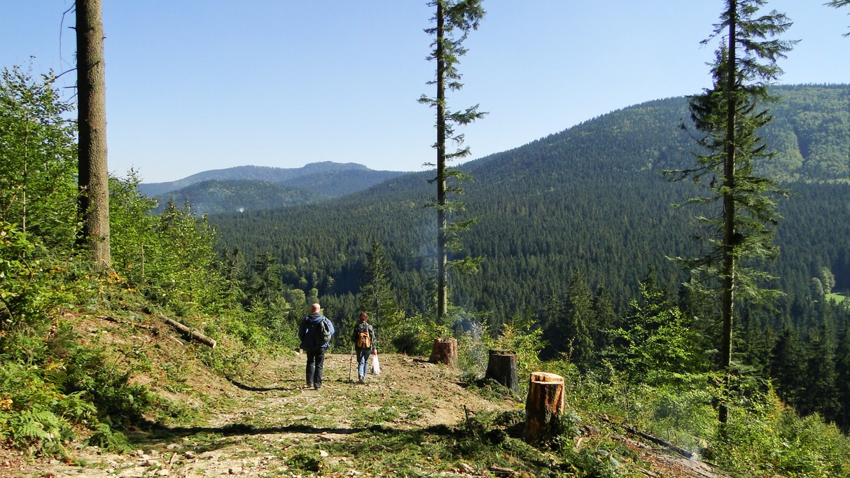 Piękno polskich gór - zdjęcie 47