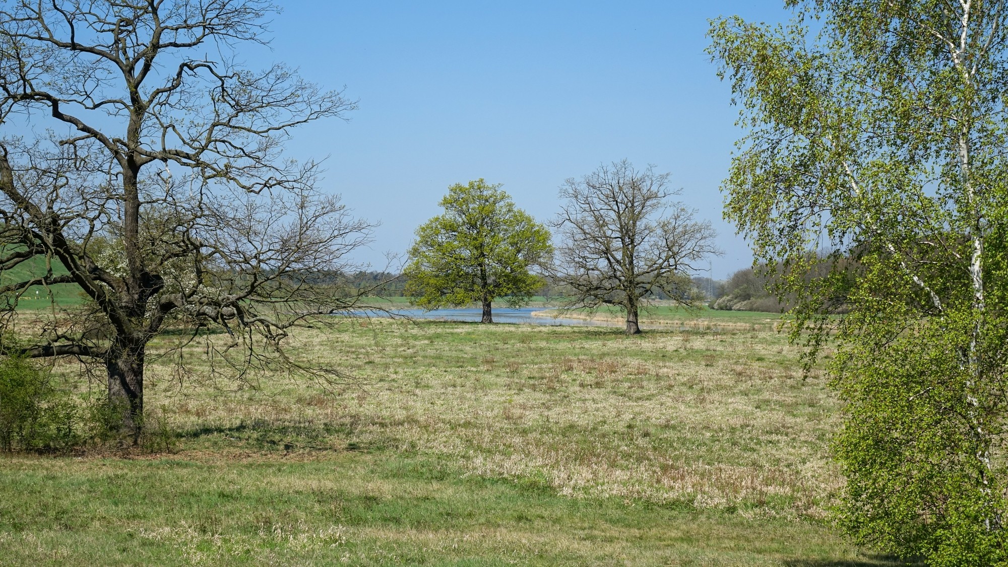 Podróż przez wiosenną Polskę - zdjęcie 20