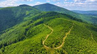 08-04-2026 03:59 To najdzikszy zakątek Beskidów. Nikogo tu nie spotkasz