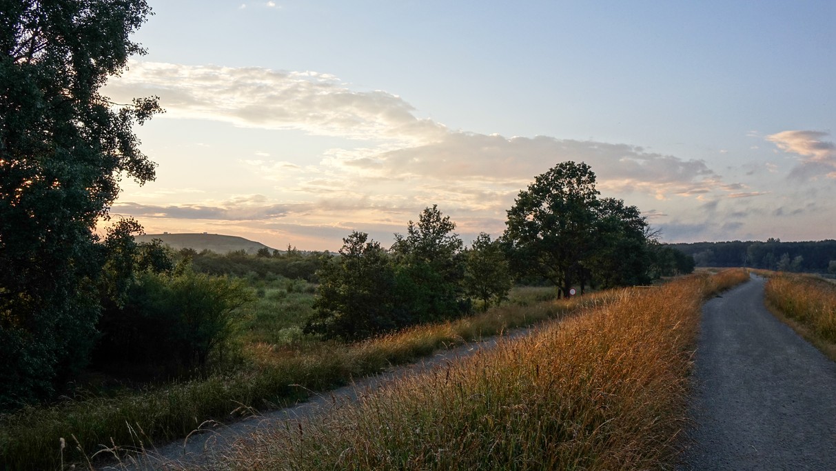 Czerwiec w obiektywie - zdjęcie 49