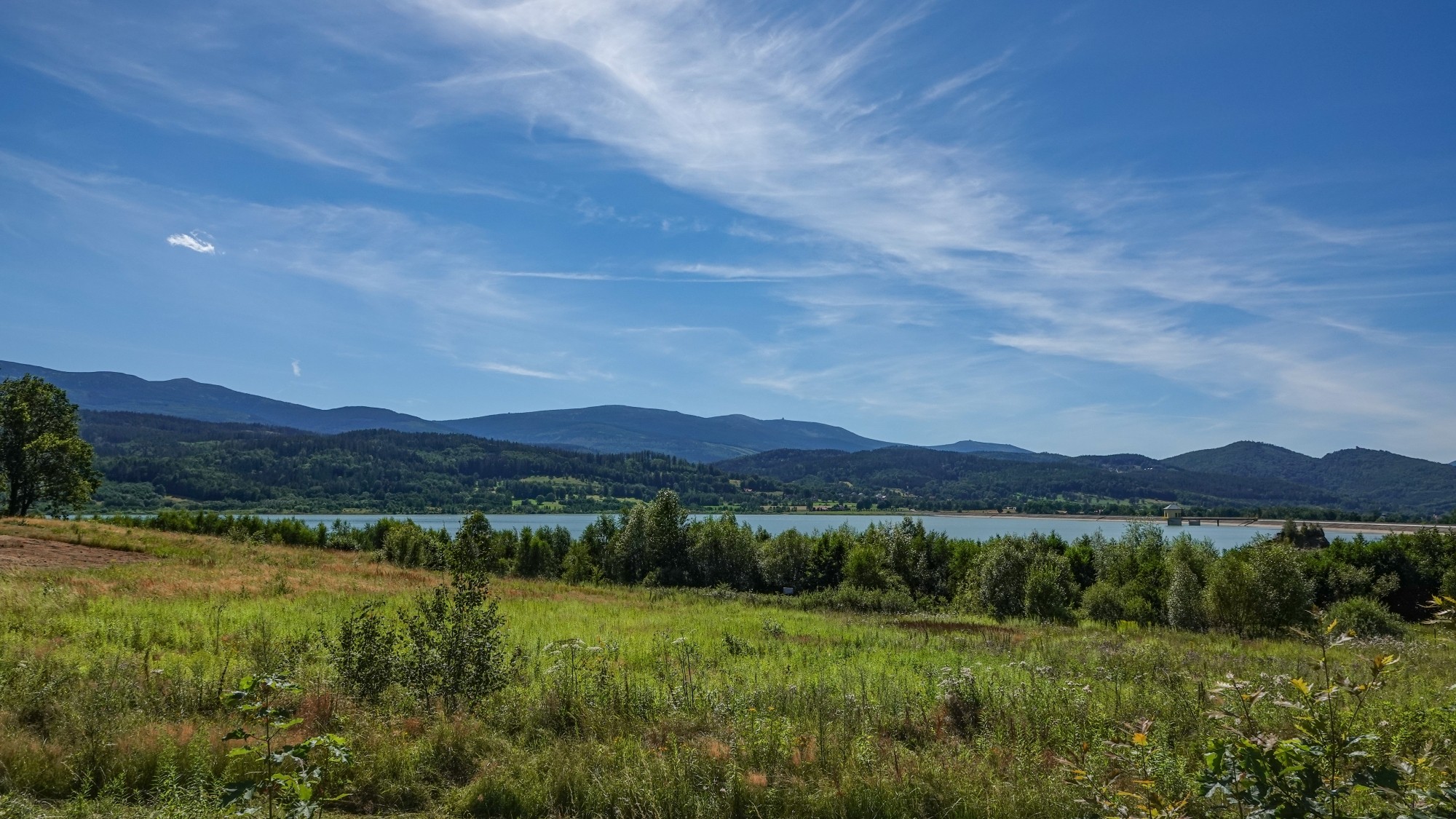 Środek lata w plenerze - zdjęcie 35