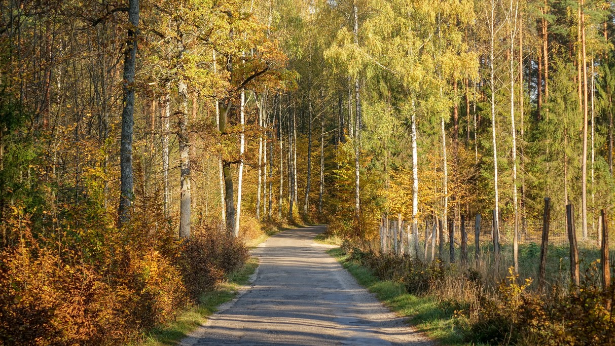 Barwy jesieni - zdjęcie 25