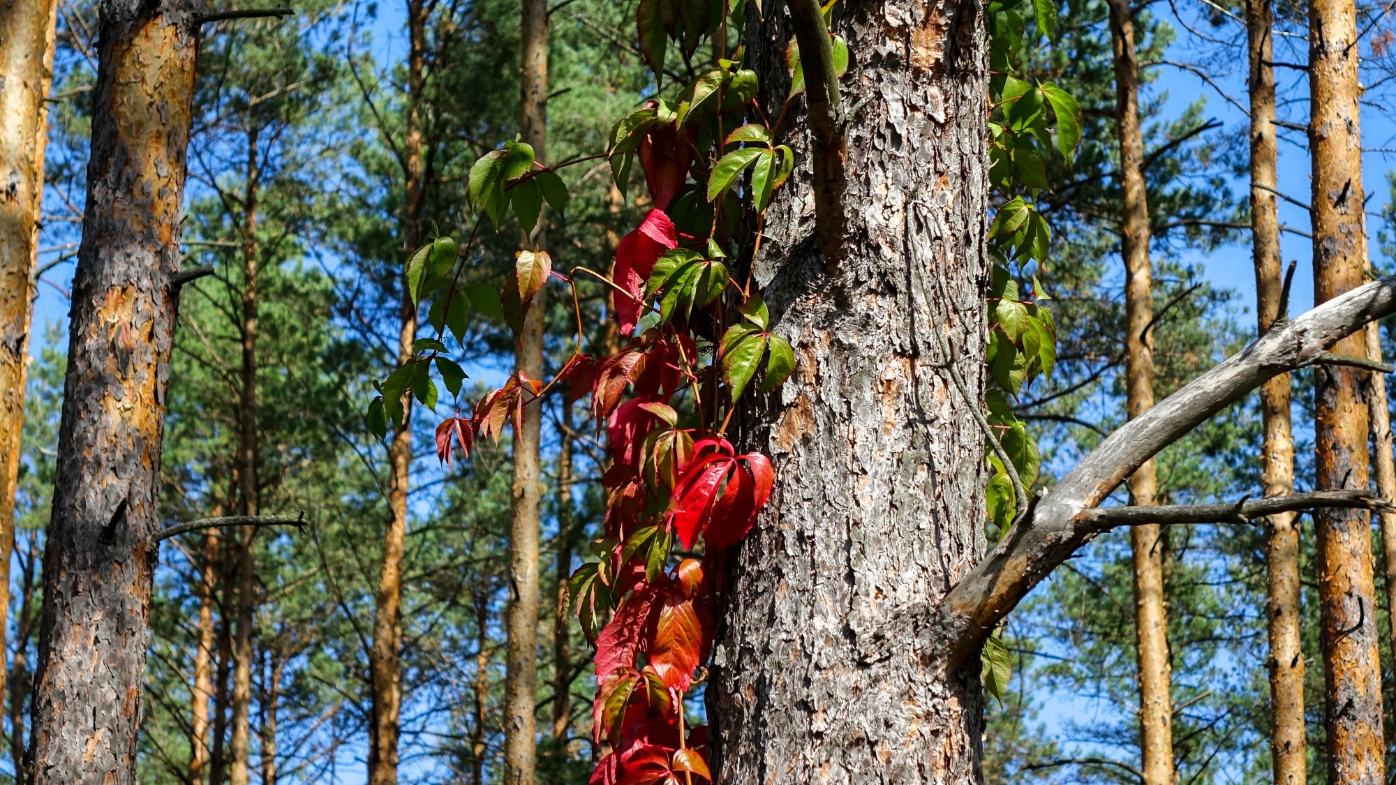 Wrzesień w obiektywie - zdjęcie 5