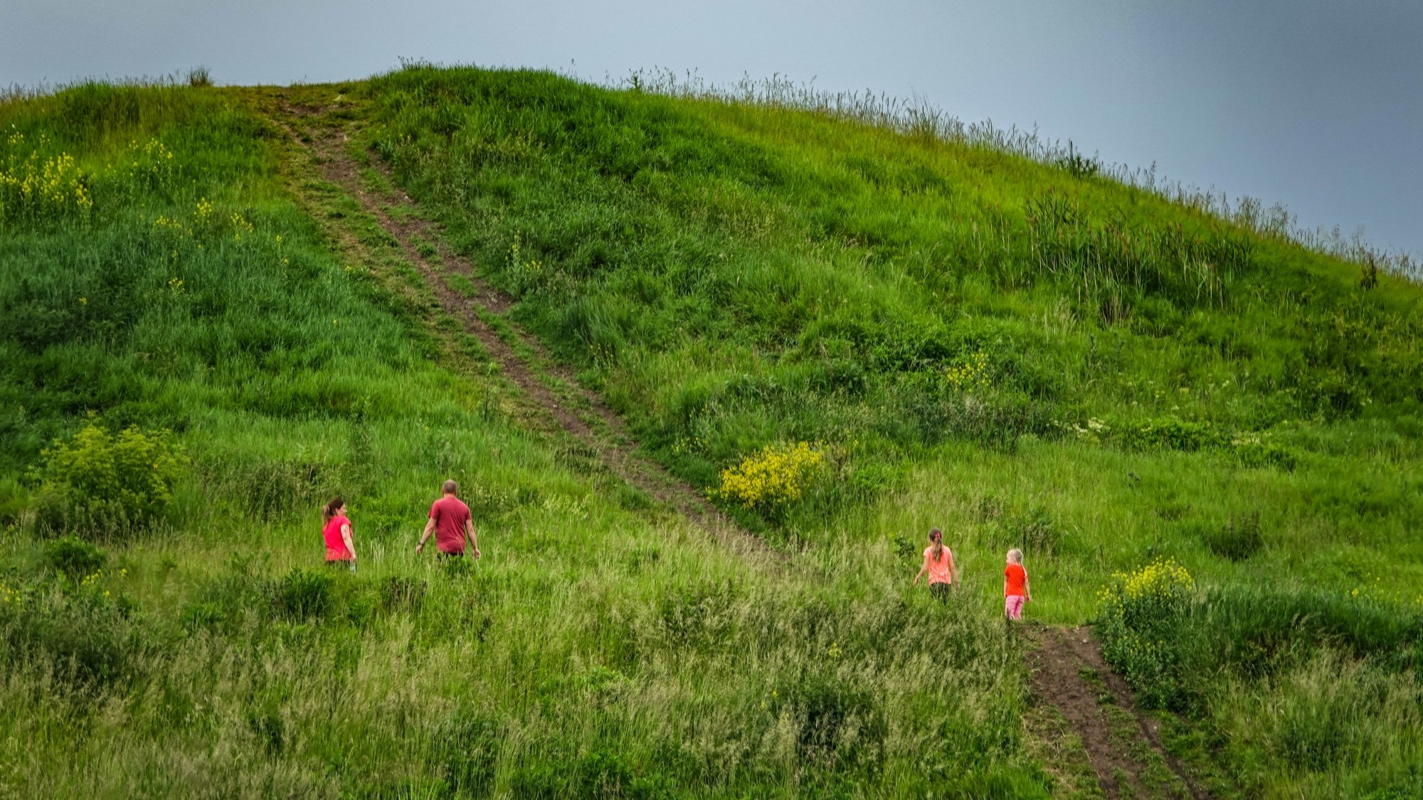 Uroki zielonej pory roku - zdjęcie 64