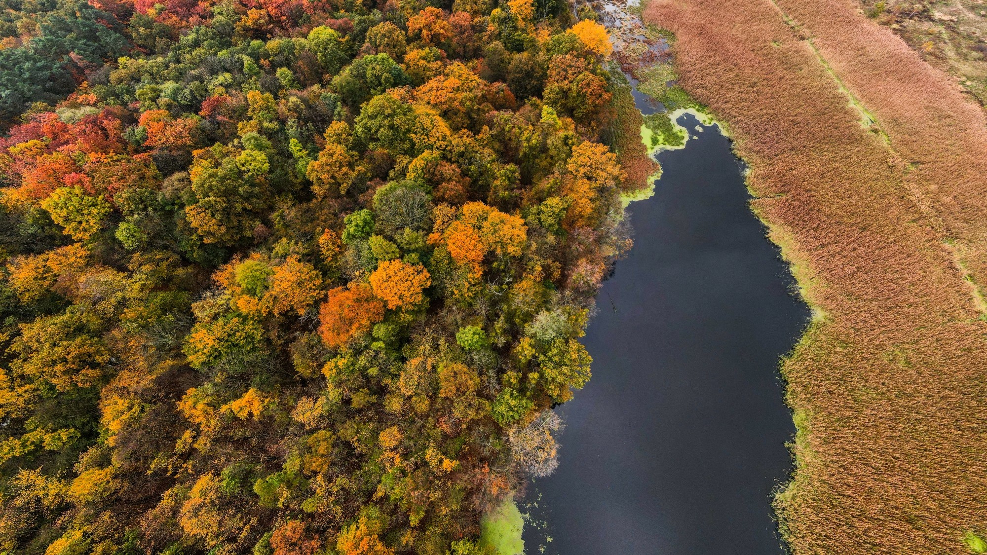 Jesień w Polsce z lotu ptaka - zdjęcie 20