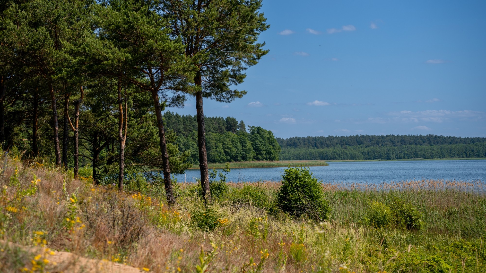 Kolory lata - zdjęcie 44