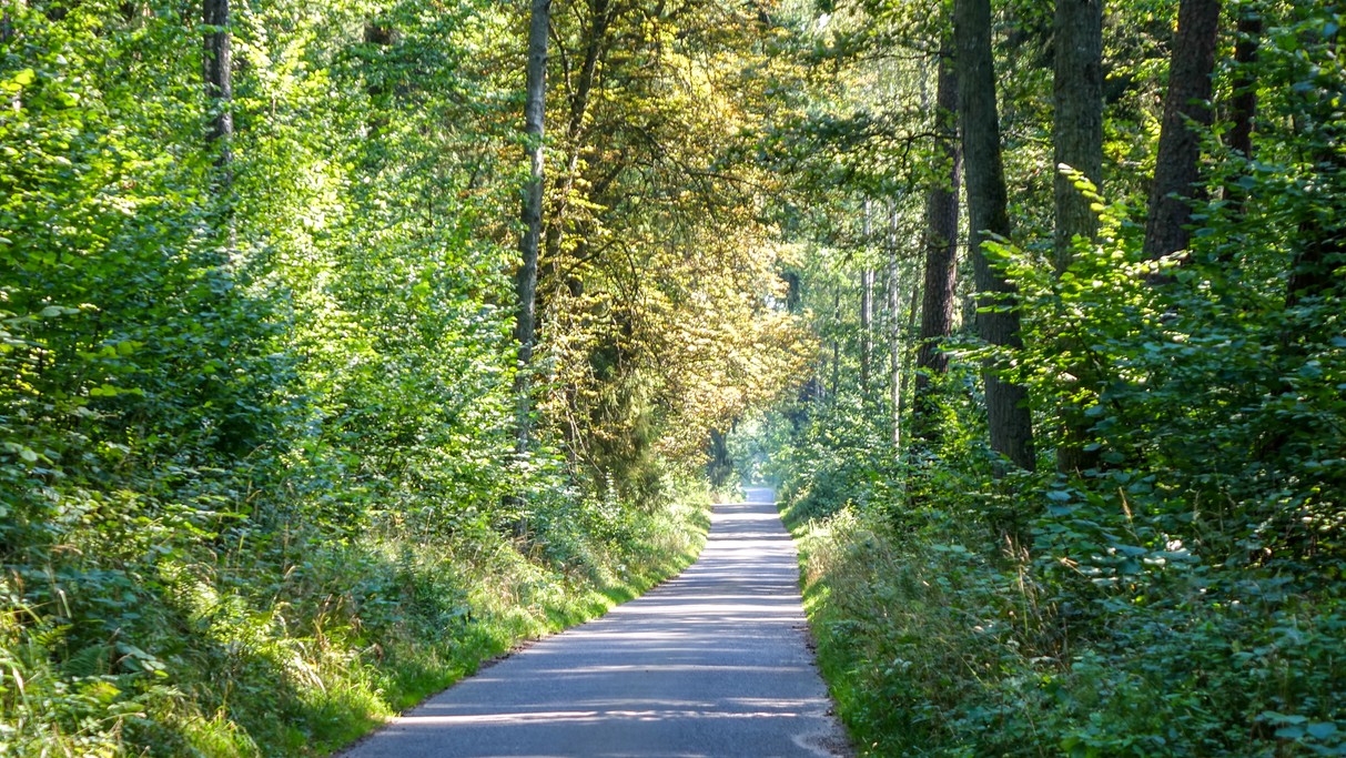 Lipiec w obiektywie - zdjęcie 23