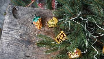 Zanim wyrzucisz choinkę, przeczytaj to. Większość ludzi robi ten sam błąd