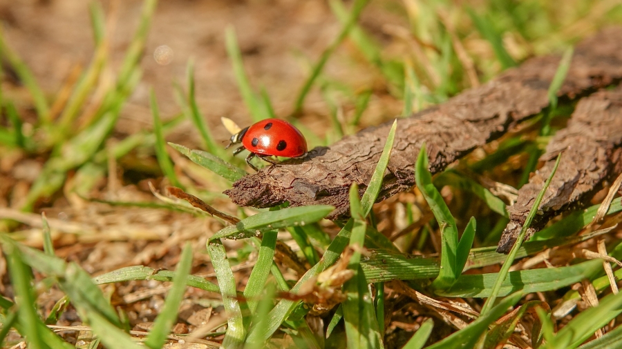 Fot. TwojaPogoda.pl