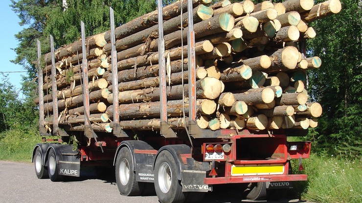Transporty drewna niszczą drogi. NIK: konieczna jest zmiana przepisów