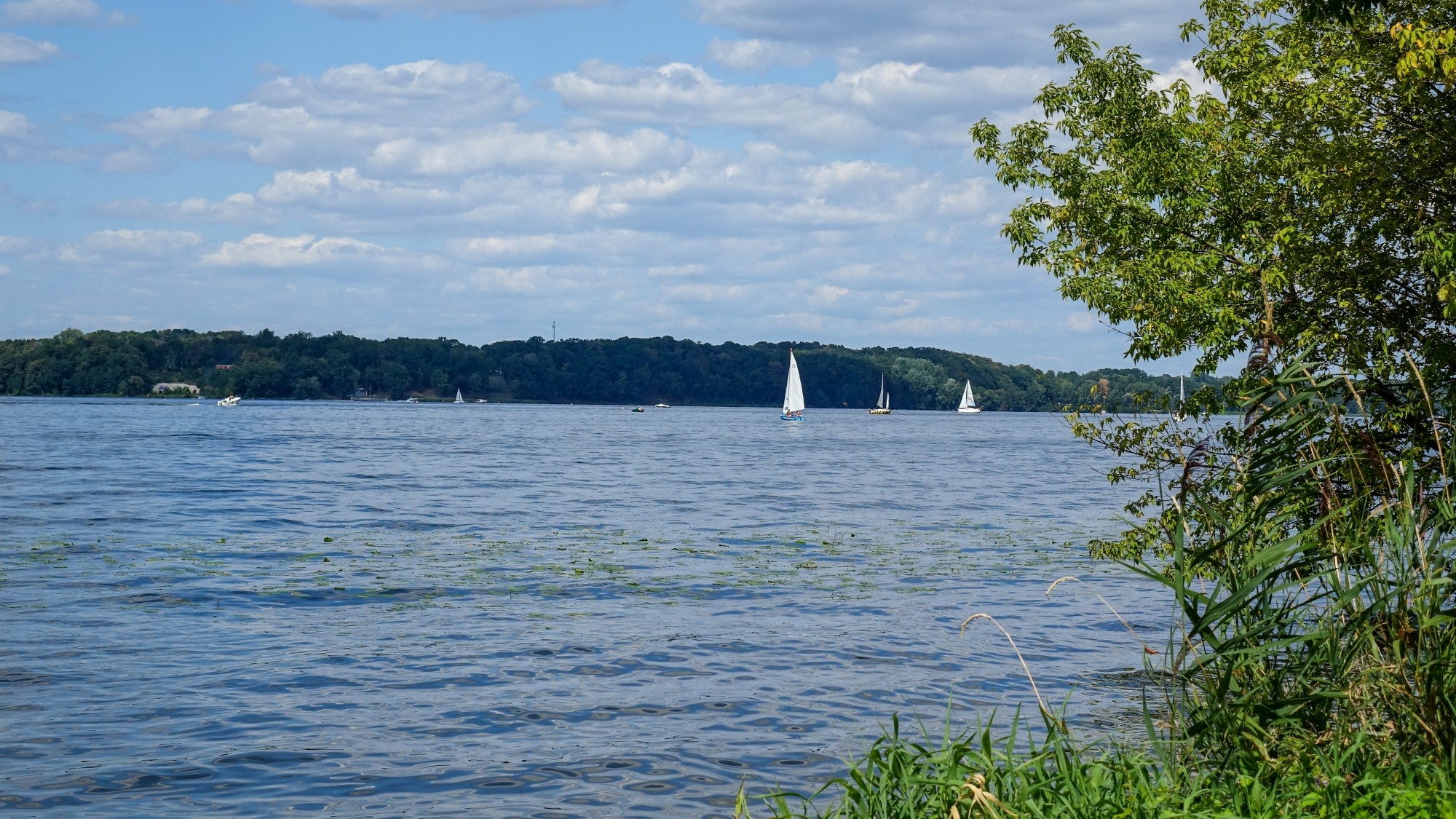 Sierpień w obiektywie - zdjęcie 19