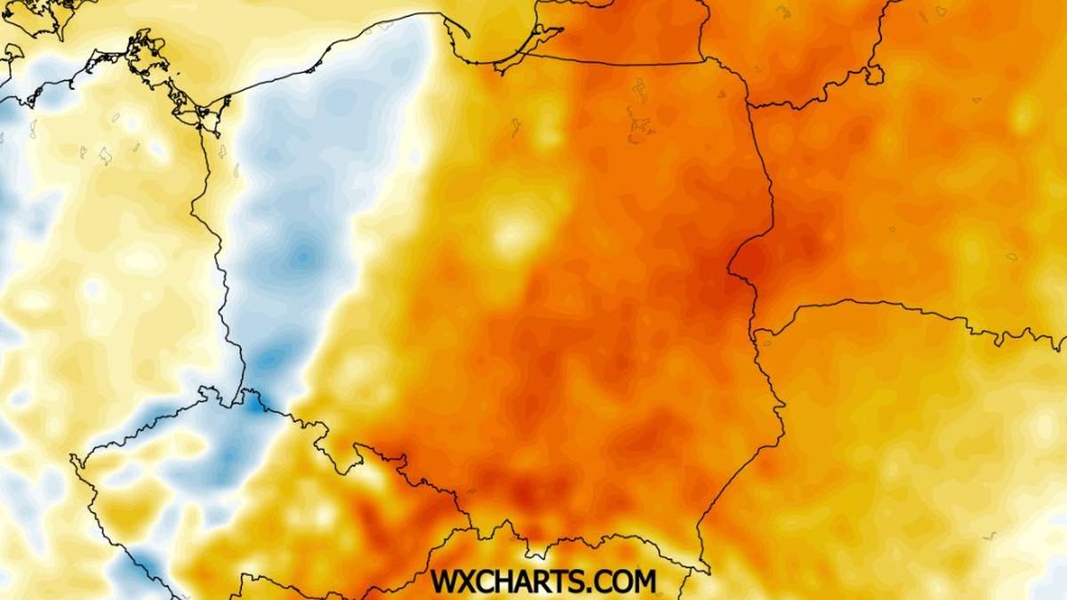 Wyższe temperatury wrócą w pierwszej połowie przyszłego tygodnia. Nie przekroczą one jednak poziomi 24 st. C