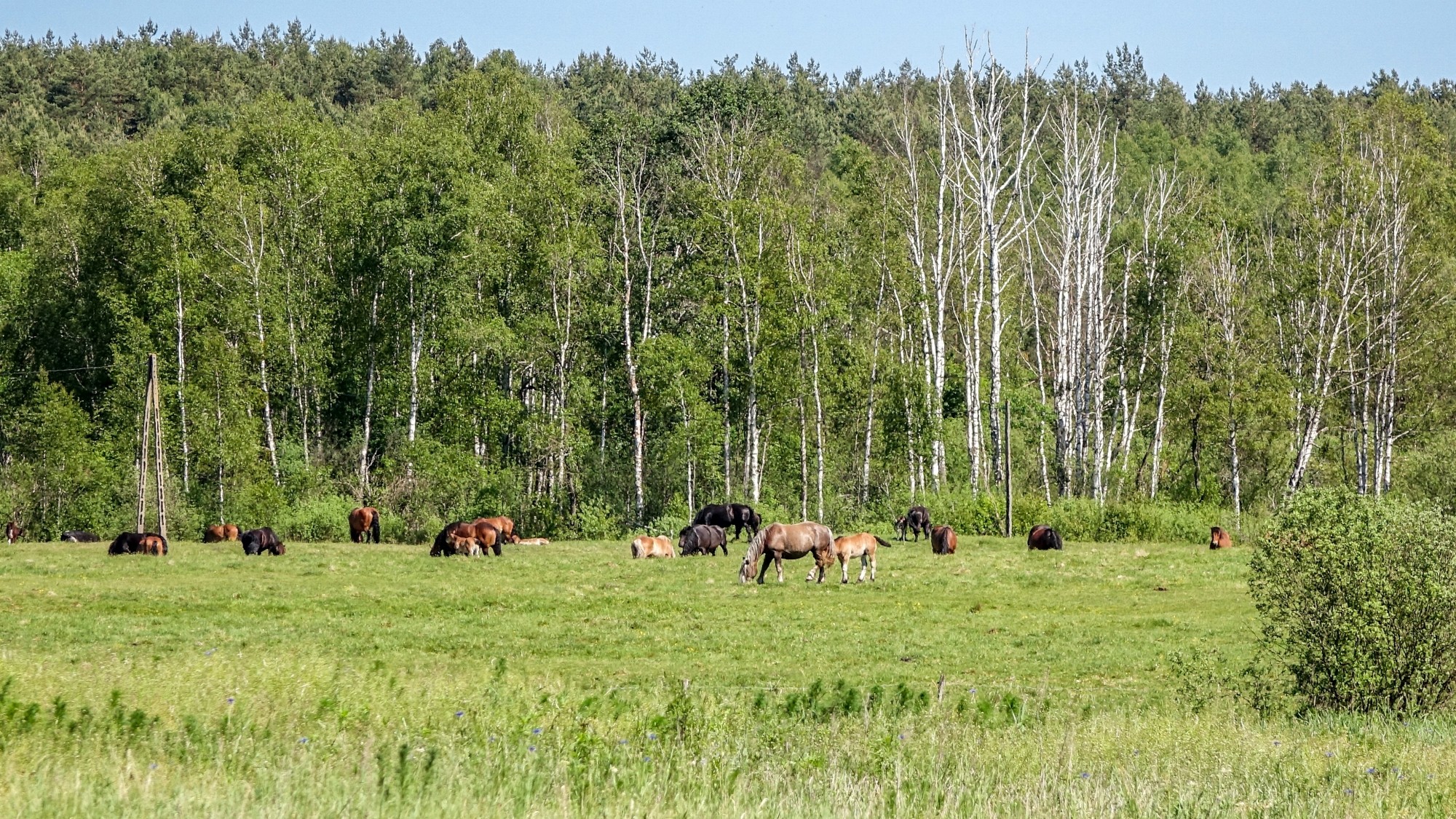 Mazury wiosną - zdjęcie 6