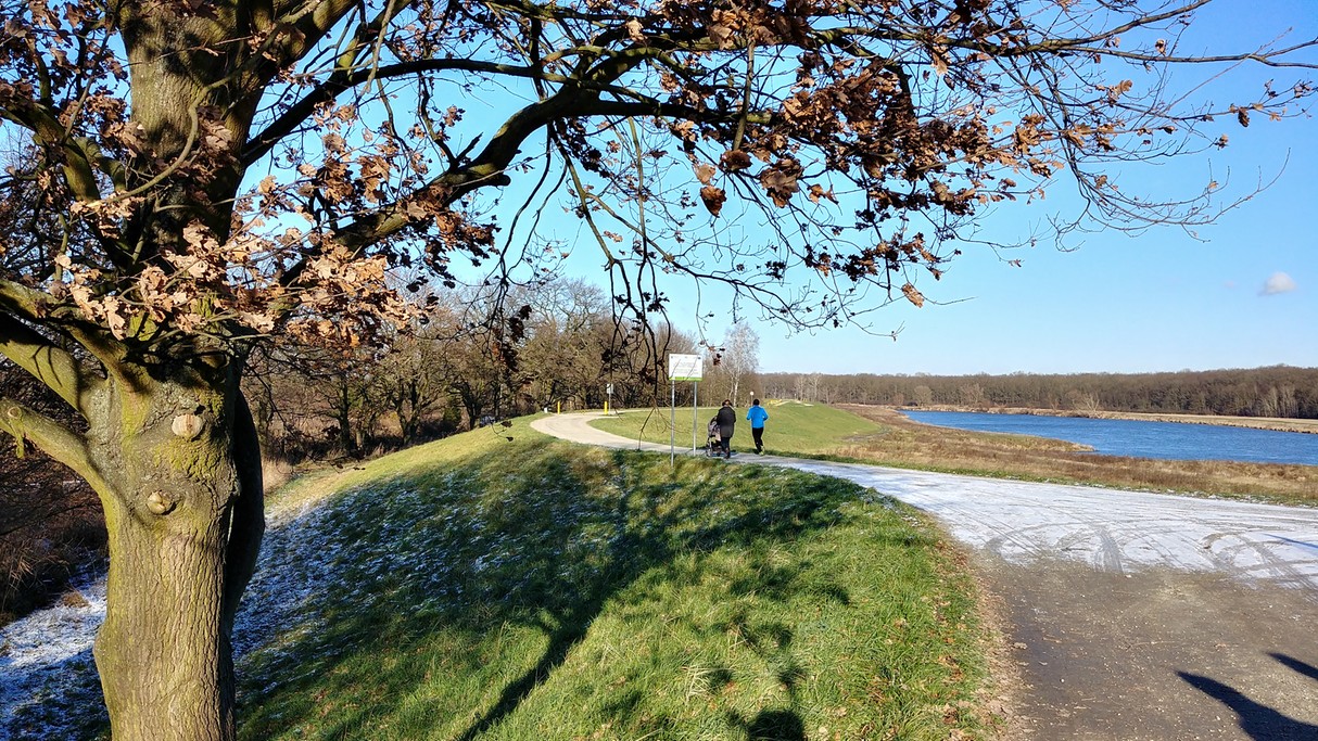 Grudzień w obiektywie - zdjęcie 10