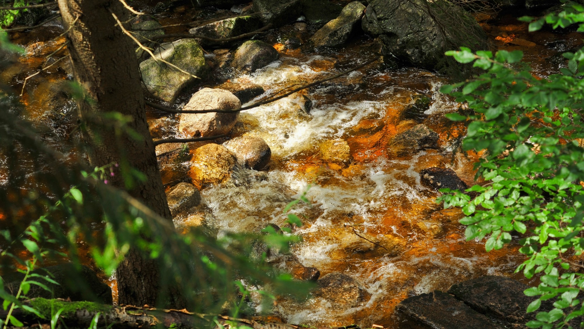 Piękne miejsca w Karkonoszach - zdjęcie 37