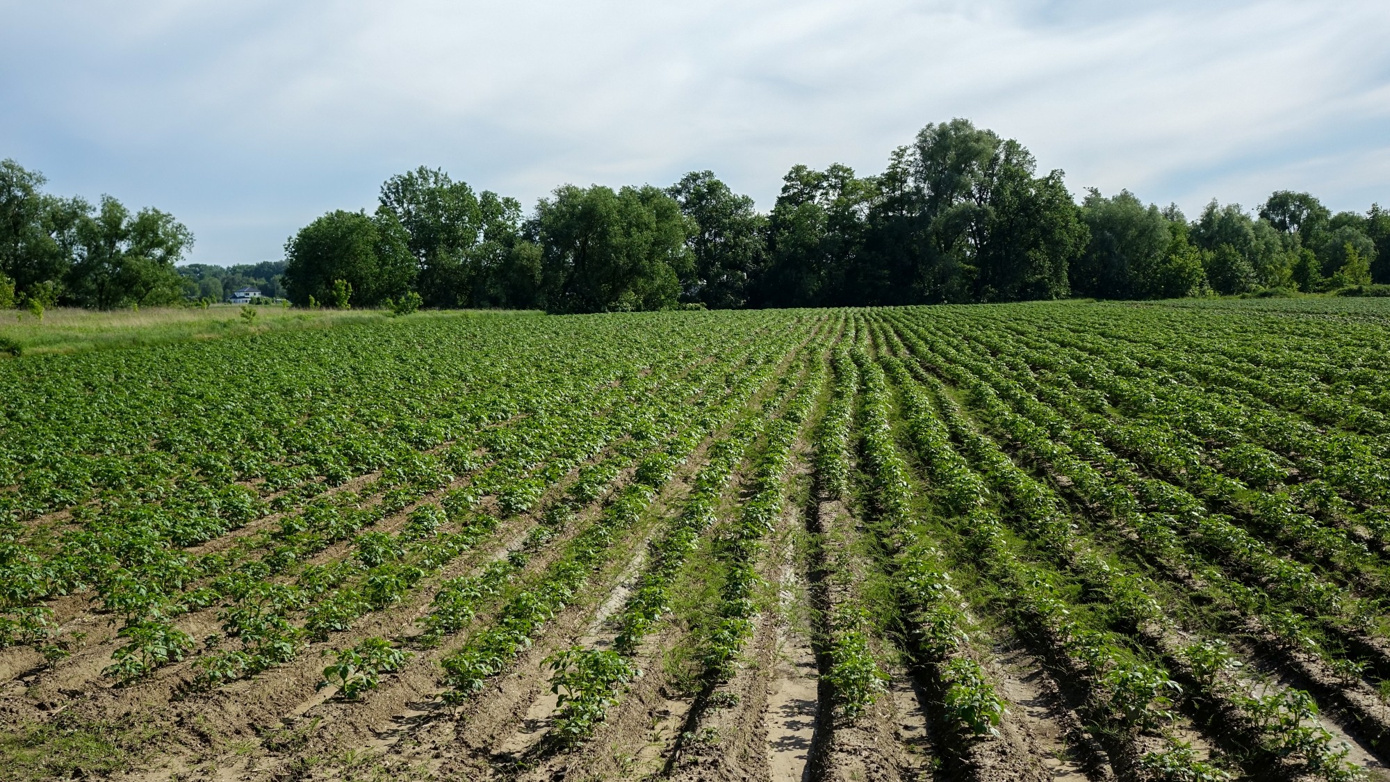 Maj w obiektywie - zdjęcie 47