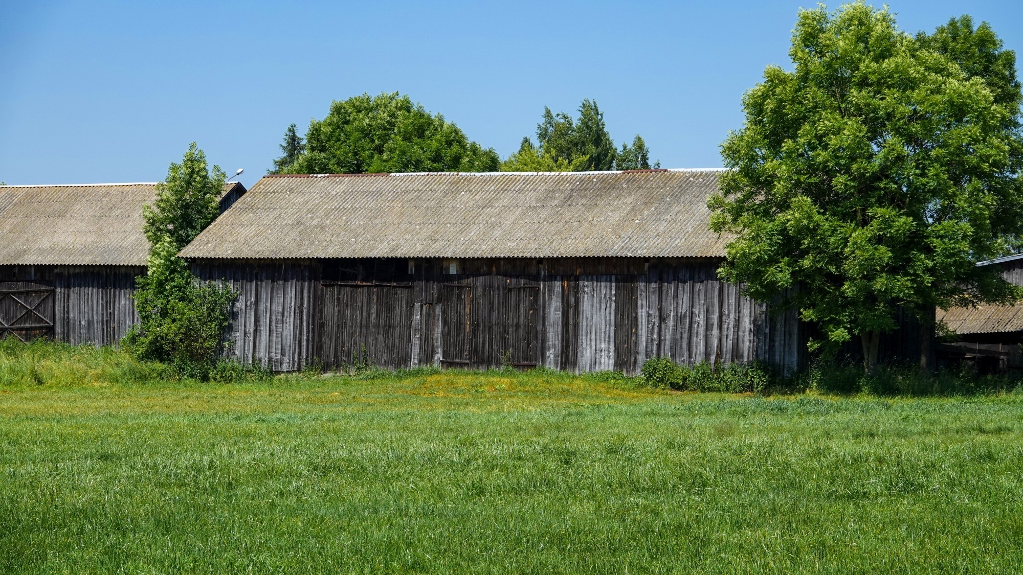 Lato w plenerze - zdjęcie 40