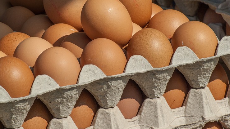 GIS ostrzega przed jajkami. Wykryto salmonellę