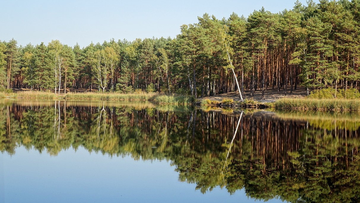 Październik w obiektywie - zdjęcie 32