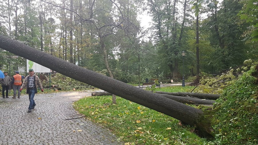 Szkody po wichurze w zabytkowym Parku Habsburgów w Żywcu. Fot. Facebook / Antoni Szlagor.