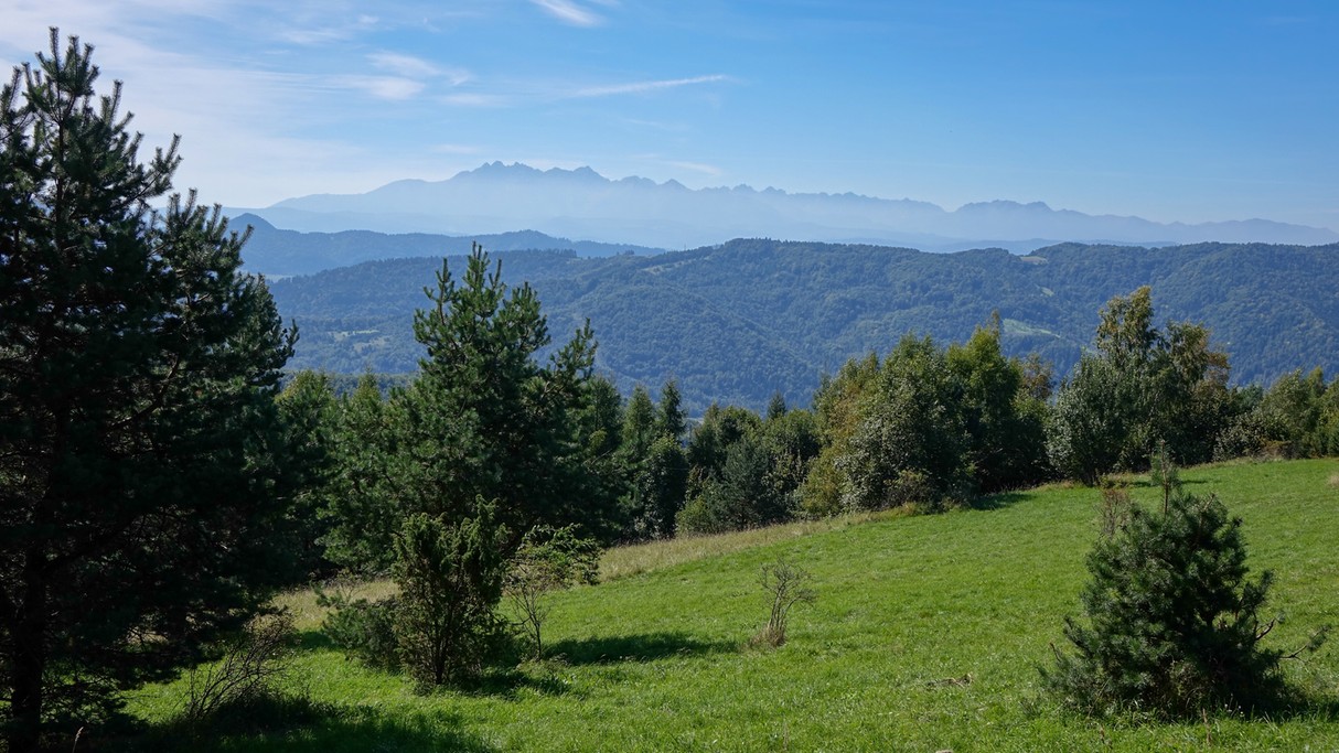 Wrzesień w obiektywie - zdjęcie 25