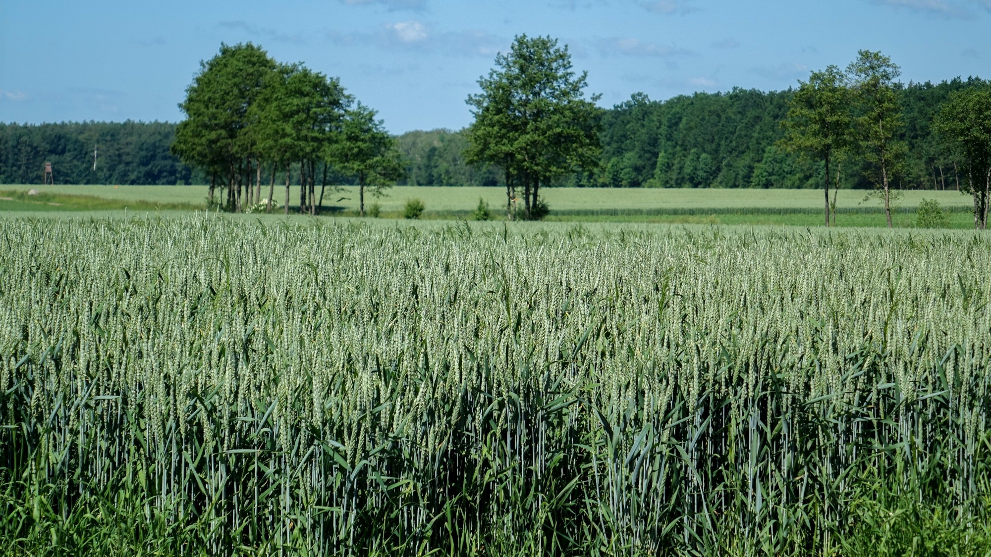 Uroki lata za miastem - zdjęcie 24