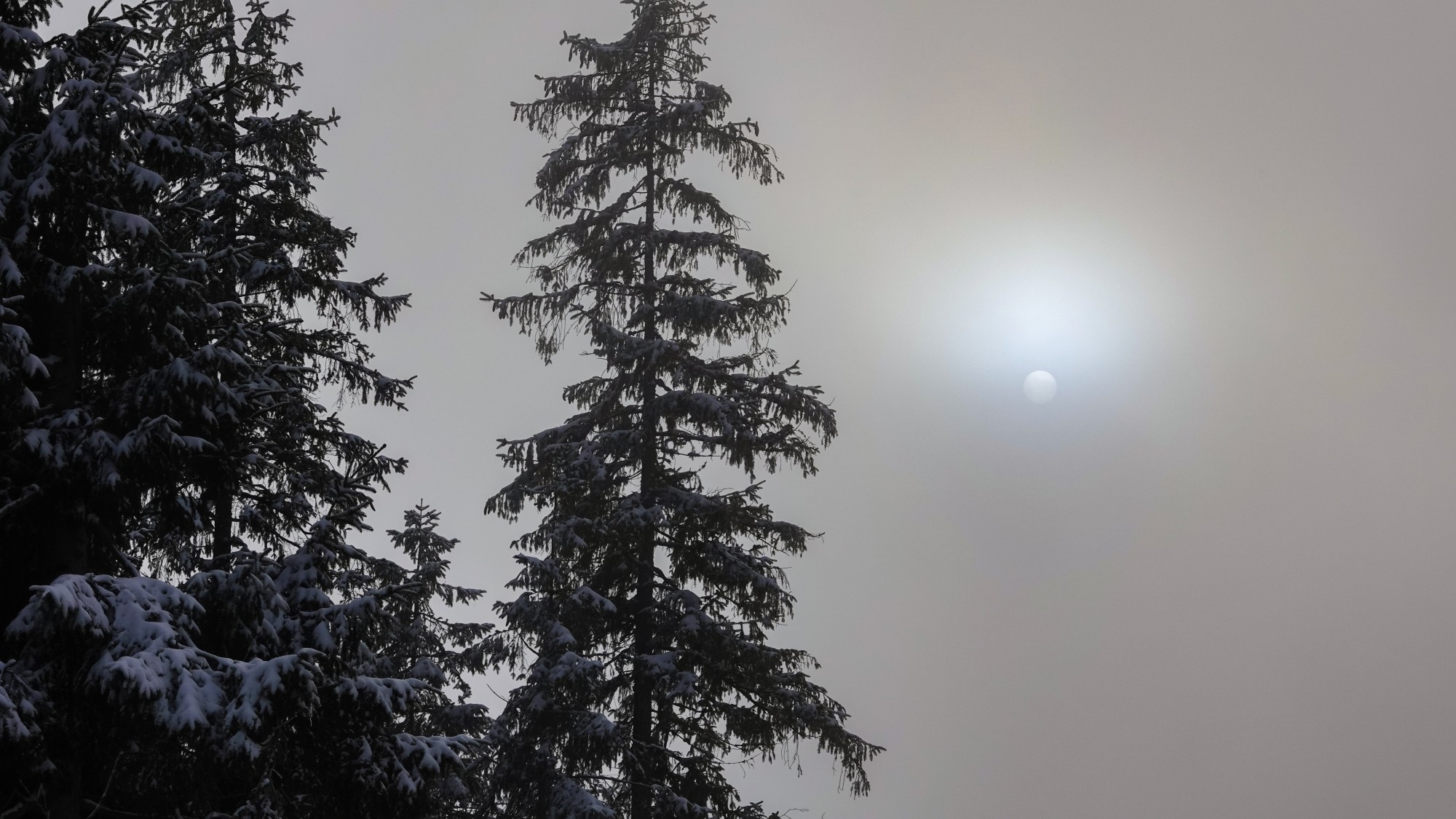 Tatry zimą - zdjęcie 28