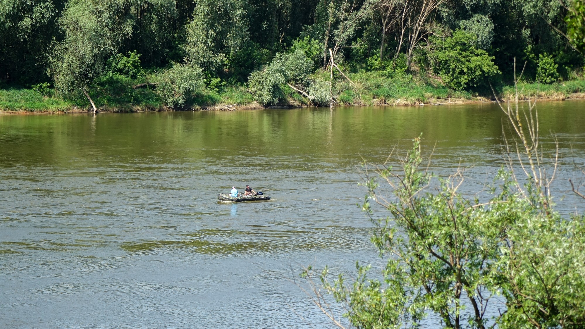 Czerwiec w obiektywie - zdjęcie 42