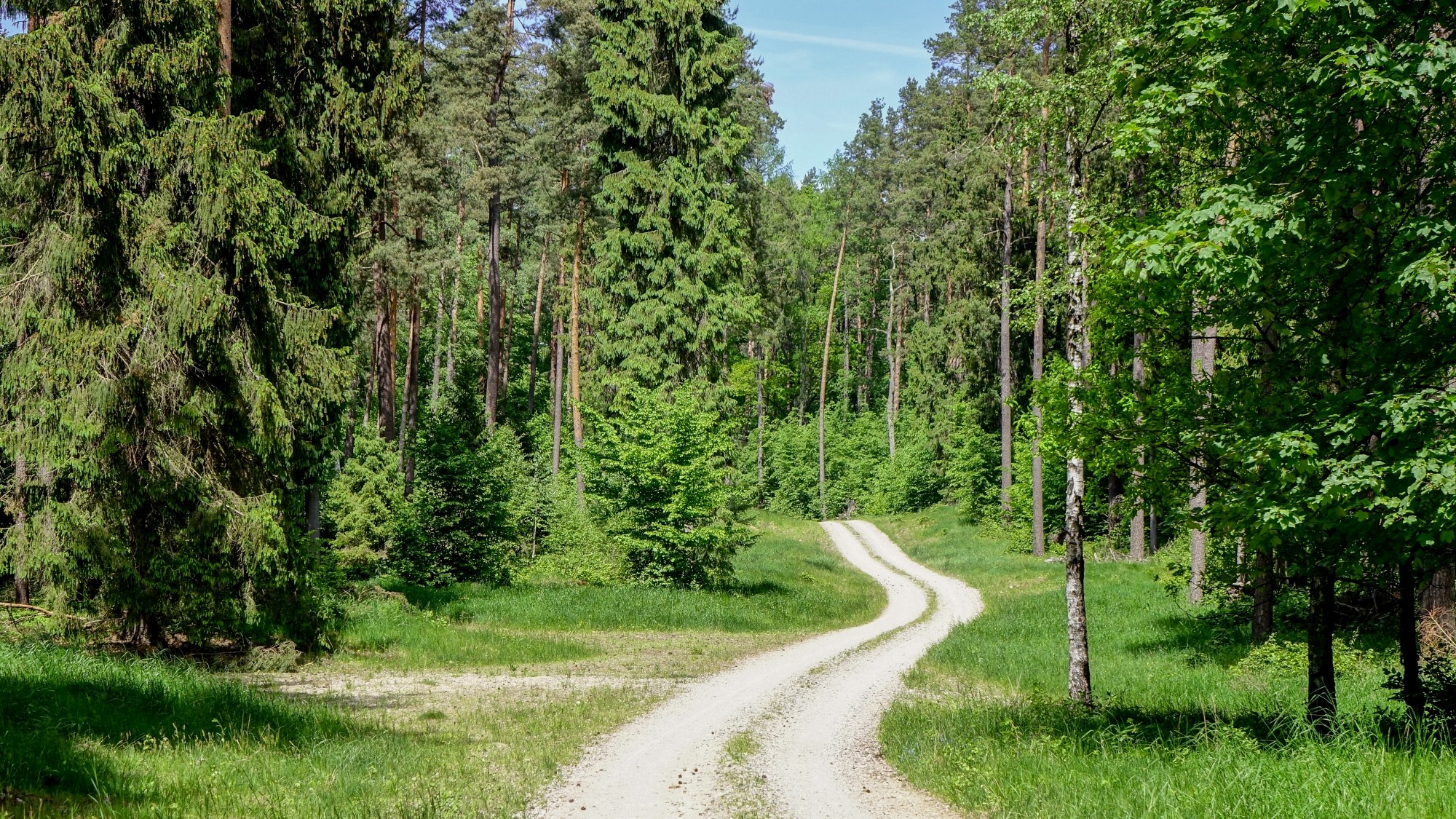 Urocze zakątki w lasach - zdjęcie 47