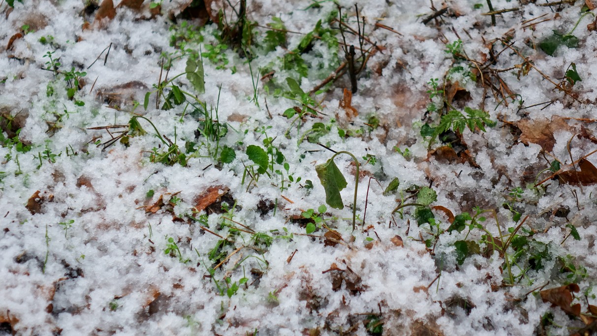 Styczeń w obiektywie - zdjęcie 18